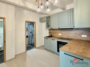 Pronájem bytu 2+1, Praha - Košíře, Plzeňská, 58 m2