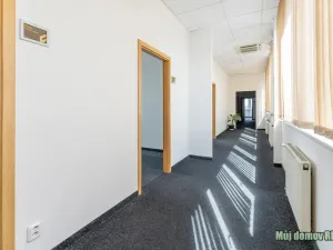 Pronájem kanceláře, Praha - Strašnice, V olšinách, 100 m2