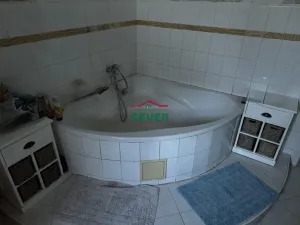 Prodej rodinného domu, Pětipsy, 3229 m2