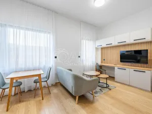 Pronájem bytu 1+kk, Praha - Karlín, Pobřežní, 32 m2