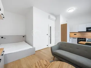Pronájem bytu 1+kk, Praha - Karlín, Pobřežní, 32 m2