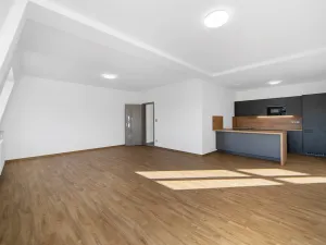 Pronájem bytu 1+kk, Plzeň - Severní Předměstí, Bolevecká, 55 m2