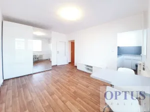 Pronájem bytu 1+kk, Praha - Podolí, Kaplická, 28 m2