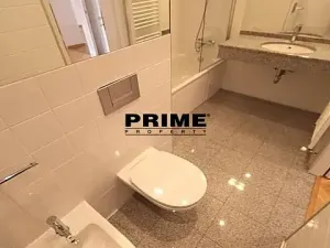 Pronájem bytu 4+kk, Praha - Vinohrady, Na Švihance, 150 m2