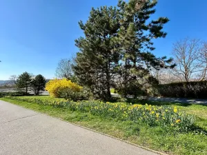 Pronájem bytu 2+kk, Praha - Modřany, Semická, 52 m2