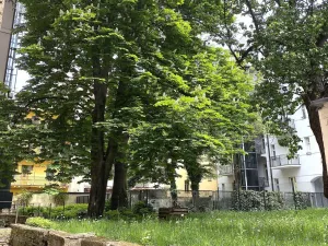 Pronájem bytu 1+1, Praha - Smíchov, Na Celné, 35 m2