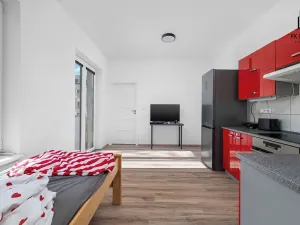Pronájem bytu 2+kk, Brno, Křenová, 41 m2