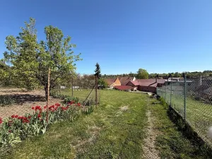 Prodej rodinného domu, Vážany, 702 m2