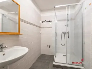 Pronájem bytu 3+1, Hradec Králové - Pražské Předměstí, Břetislavova, 77 m2