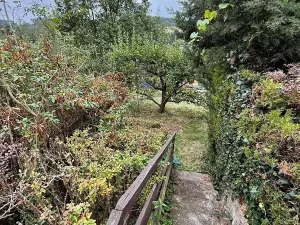 Prodej chaty, Nespeky, 50 m2