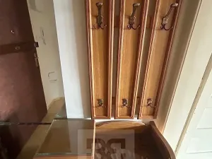 Pronájem bytu 1+kk, Praha - Nusle, U křížku, 28 m2