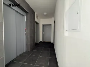 Pronájem bytu 2+kk, Dobřany, 52 m2