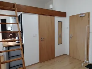 Prodej bytu 1+kk, Praha - Nové Město, Sokolská, 22 m2