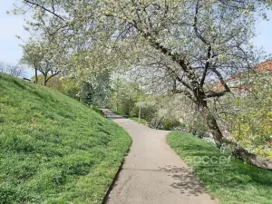 Pronájem bytu 2+kk, Praha - Žižkov, Jeseniova, 50 m2