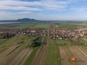 Prodej rodinného domu, Popice, Sklepní, 166 m2