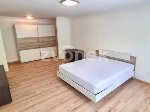Pronájem rodinného domu, Zlín, Na Výsluní, 270 m2