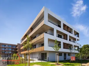 Pronájem bytu 1+kk, Plzeň - Východní Předměstí, Kartónová, 38 m2