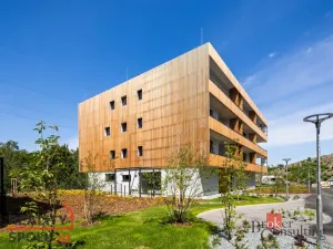Pronájem bytu 1+kk, Plzeň - Východní Předměstí, Kartónová, 38 m2