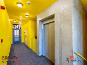 Pronájem bytu 1+kk, Plzeň - Východní Předměstí, Kartónová, 38 m2