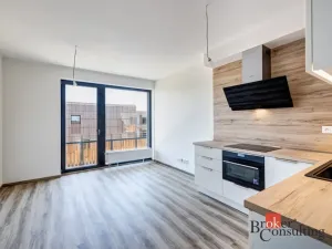 Pronájem bytu 1+kk, Plzeň - Východní Předměstí, Kartónová, 38 m2
