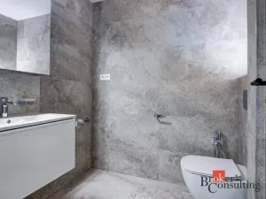 Pronájem bytu 1+kk, Plzeň - Východní Předměstí, Kartónová, 38 m2