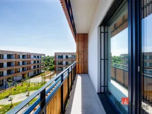 Pronájem bytu 1+kk, Plzeň - Východní Předměstí, Kartónová, 38 m2