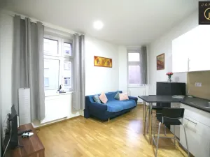 Pronájem bytu 1+kk, Praha - Libeň, Lihovarská, 25 m2