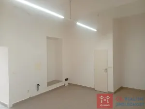 Prodej obchodního prostoru, Znojmo, Vídeňská třída, 46 m2