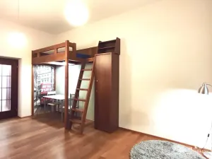 Pronájem bytu 1+kk, Praha - Nové Město, Tyršova, 30 m2