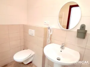 Pronájem bytu 1+kk, Praha - Nové Město, Tyršova, 30 m2
