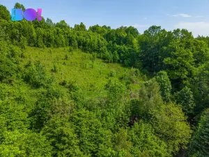 Prodej pozemku pro bydlení, Janovice, 9446 m2
