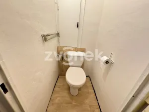 Pronájem bytu 1+1, Zlín - Příluky, Zborovská, 39 m2