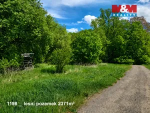 Prodej pozemku, Pňov-Předhradí, 151762 m2