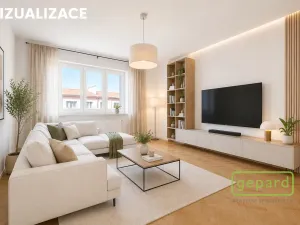 Prodej bytu 2+1, Ostrov, S. K. Neumanna, 70 m2