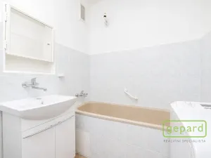Prodej bytu 2+1, Ostrov, S. K. Neumanna, 70 m2