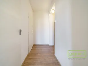 Prodej bytu 2+1, Ostrov, S. K. Neumanna, 70 m2