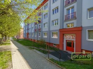 Prodej bytu 2+1, Ostrov, S. K. Neumanna, 70 m2