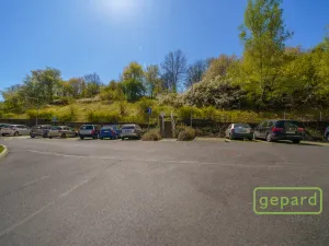Prodej bytu 2+1, Ostrov, S. K. Neumanna, 70 m2