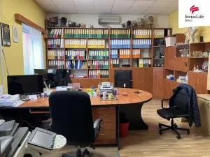 Pronájem obchodního prostoru, Brno, Křenová, 456 m2