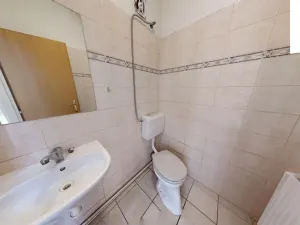 Pronájem obchodního prostoru, Brno, Křenová, 456 m2