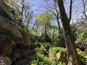 Prodej pozemku, Tuchoměřice, 1090 m2