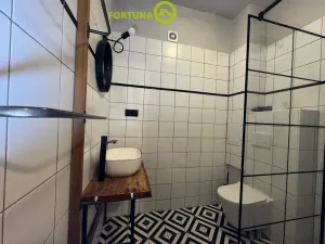 Prodej rodinného domu, Dolní Benešov - Zábřeh, Opavská, 338 m2