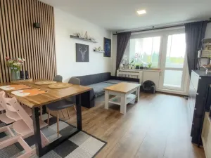 Prodej bytu 3+1, Teplá, Palackého, 79 m2