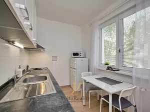 Pronájem bytu 1+1, Olomouc - Nová Ulice, Dělnická, 41 m2