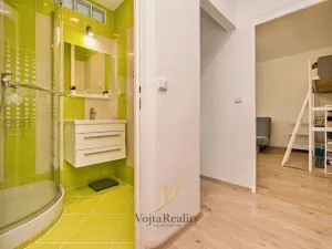 Pronájem bytu 1+1, Olomouc - Nová Ulice, Dělnická, 41 m2
