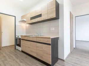 Prodej podílu 46/1000 bytu 2+1, Ryžoviště, Tovární, 52 m2