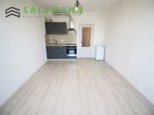 Pronájem bytu 1+kk, Plzeň, Nemocniční, 29 m2