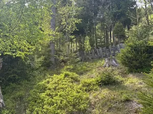 Prodej chaty, Košařiska, 49 m2