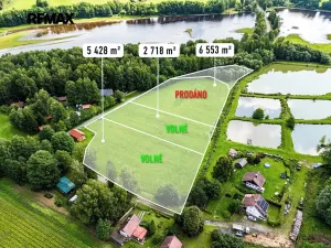 Prodej pozemku, Nová Pec, 9752 m2