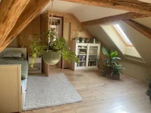 Prodej rodinného domu, Nová Ves u Mladé Vožice - Horní Střítež, 150 m2